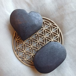 Pierre Shungite -Galet ou...